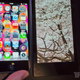Illustration for article titled Sharps New 5-Inch HD Display Is Crystal Clear